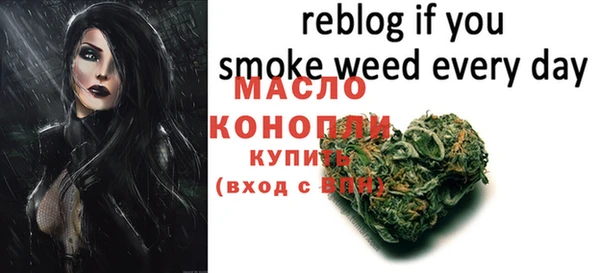 шишки Беломорск
