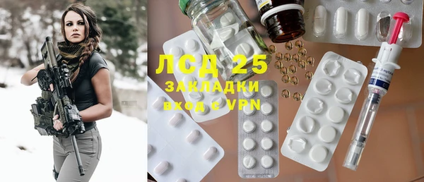 стаф Данков